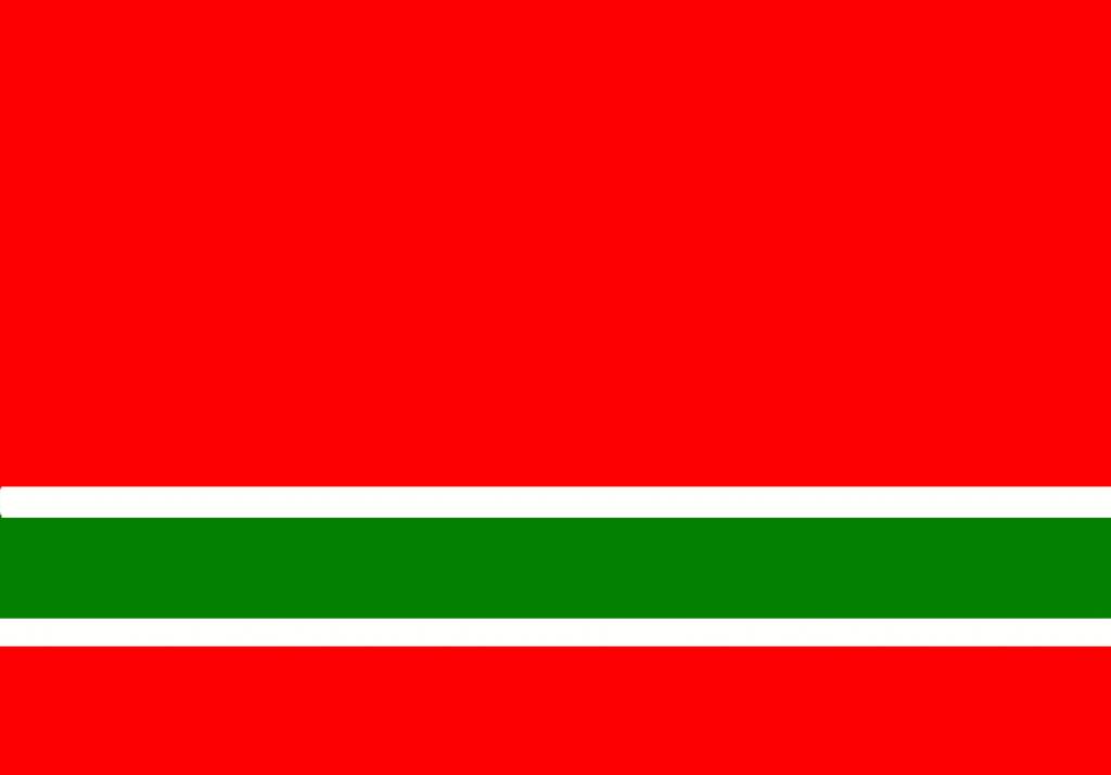 Лезгины официально приняли общенациональный флаг (Обновлено)