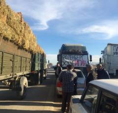 Крупнейшая забастовка дальнобойщиков проходит в Дагестане