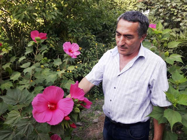 Ученый Тимур Габибов создал на своем приусадебном участке ботанический сад