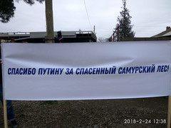 Акция началась! «Спасибо Путину за спасенный Самурский лес» (новость обновляется)