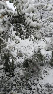 Снег в Кусарах (Фоторепортаж)