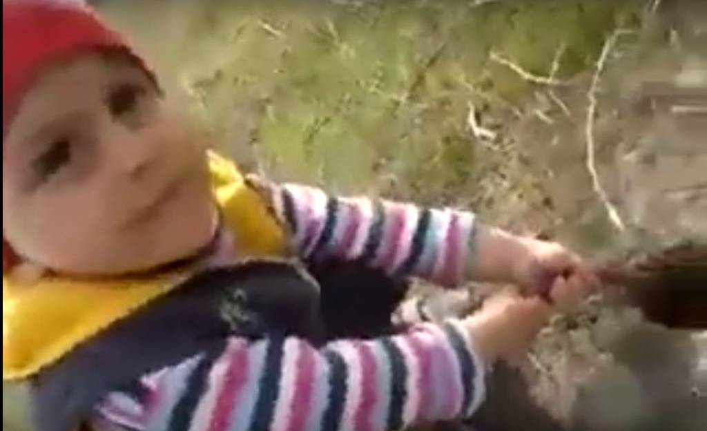 Бесстрашный лезгинский мальчик стал героем интернета (удивительное видео)