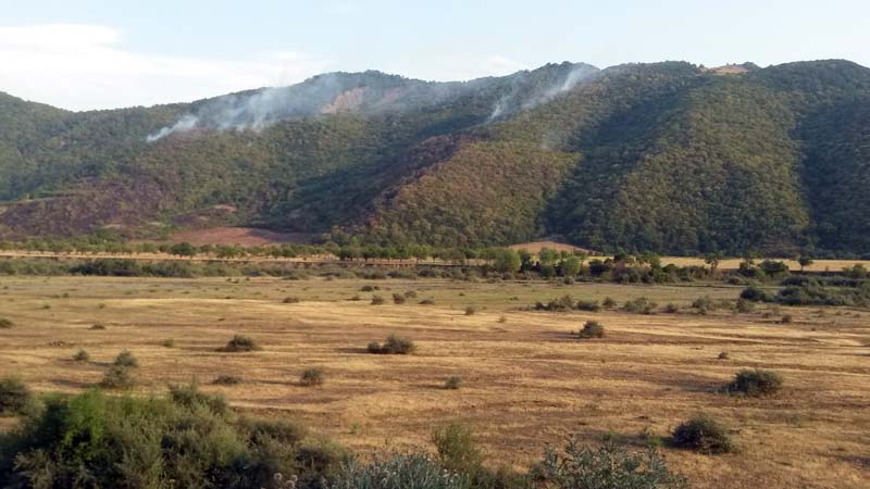 В Курахском районе горят лесные массивы «Кала-пад» (Фото)