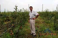 Фейзуддин Ибрагимов развивает садоводство в Магарамкентском районе (Фото)
