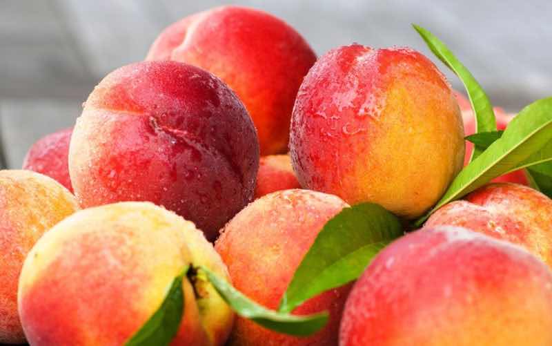 В Юждаге рекордный урожай сочных персиков и слив